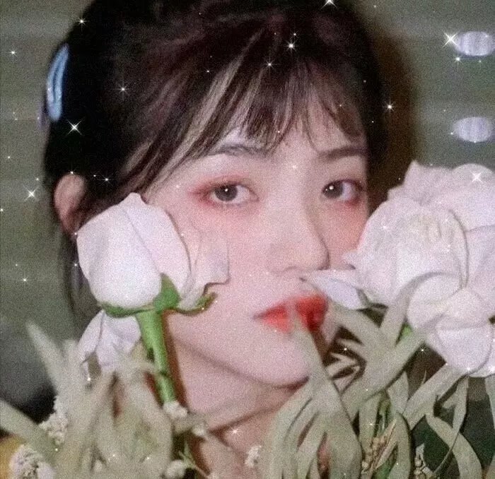 隐秘动机